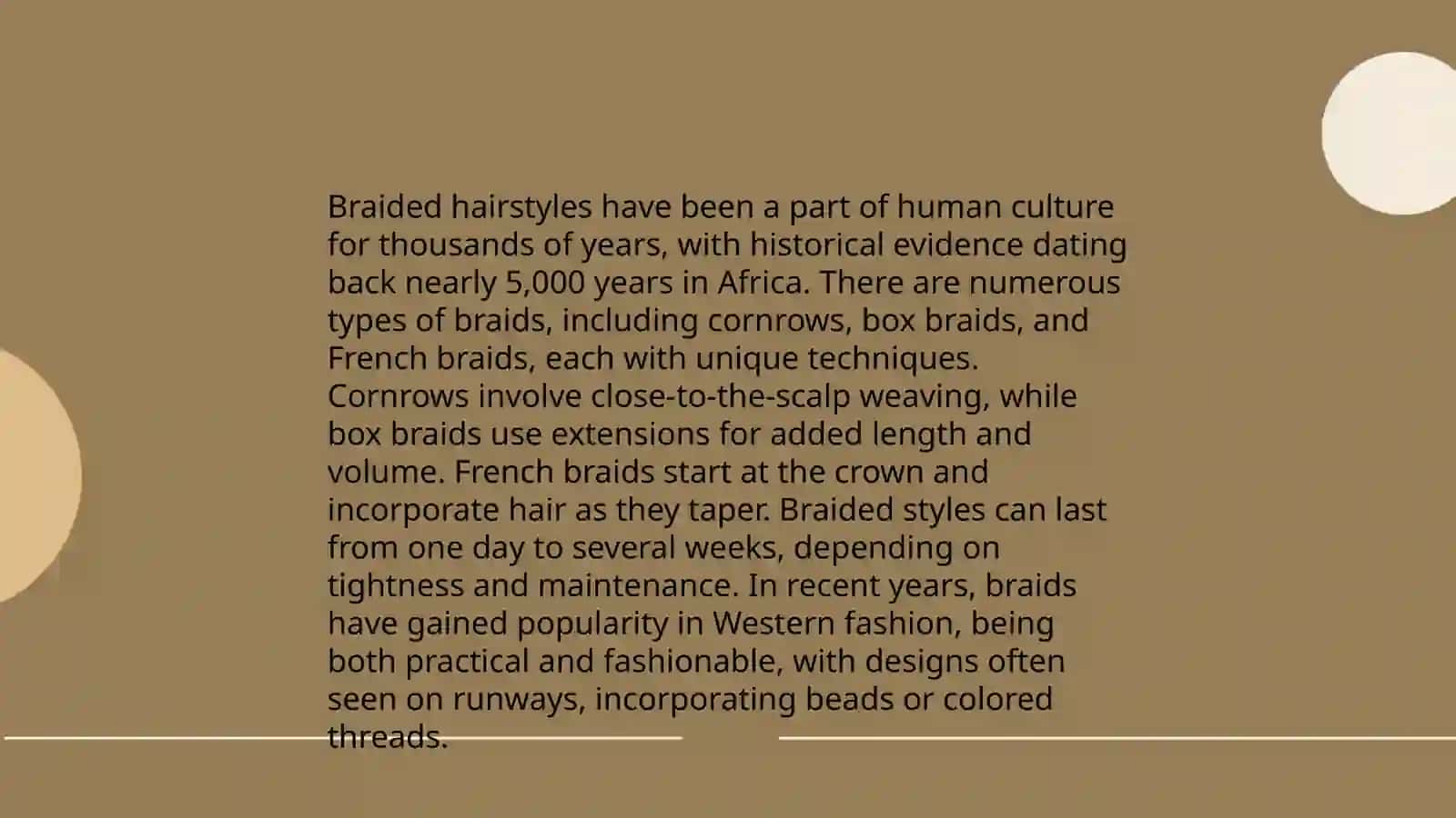 Braided Hairstyles 3