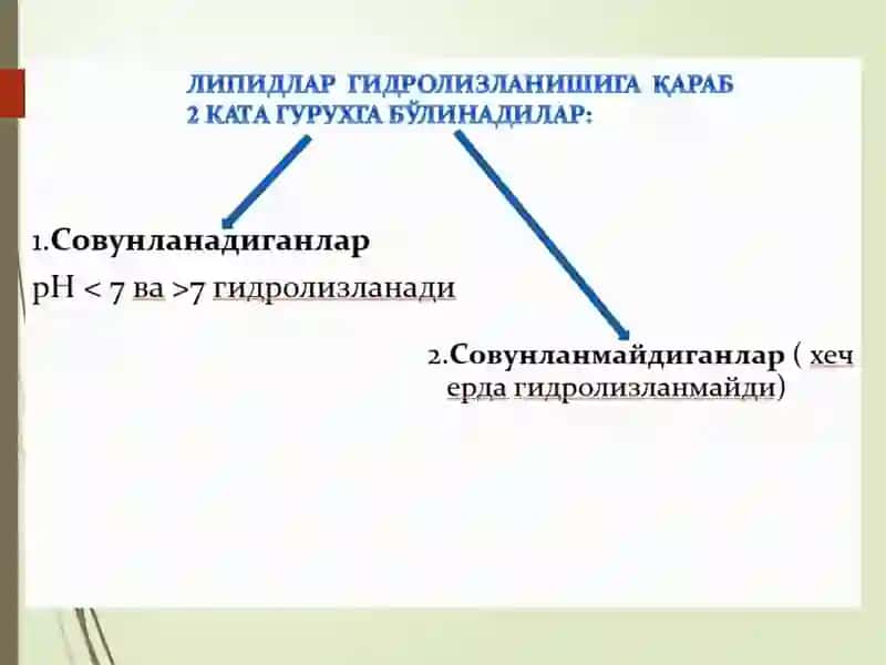 Липидлар 3
