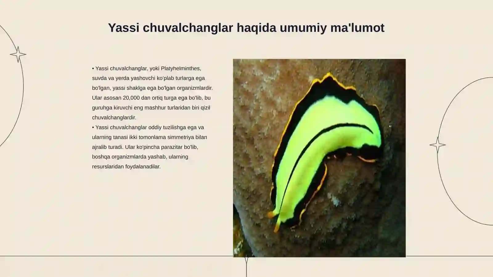 Yassi chuvalchanglar tipi 3