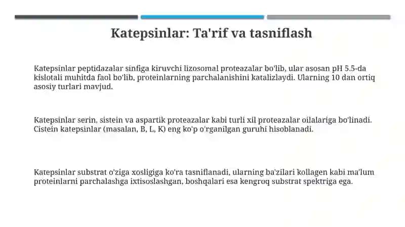 Katepsinlar 3