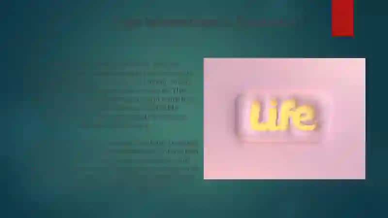 Type II (Extroverted, Intuitive, Feeling, Perceiving) Personalities 3