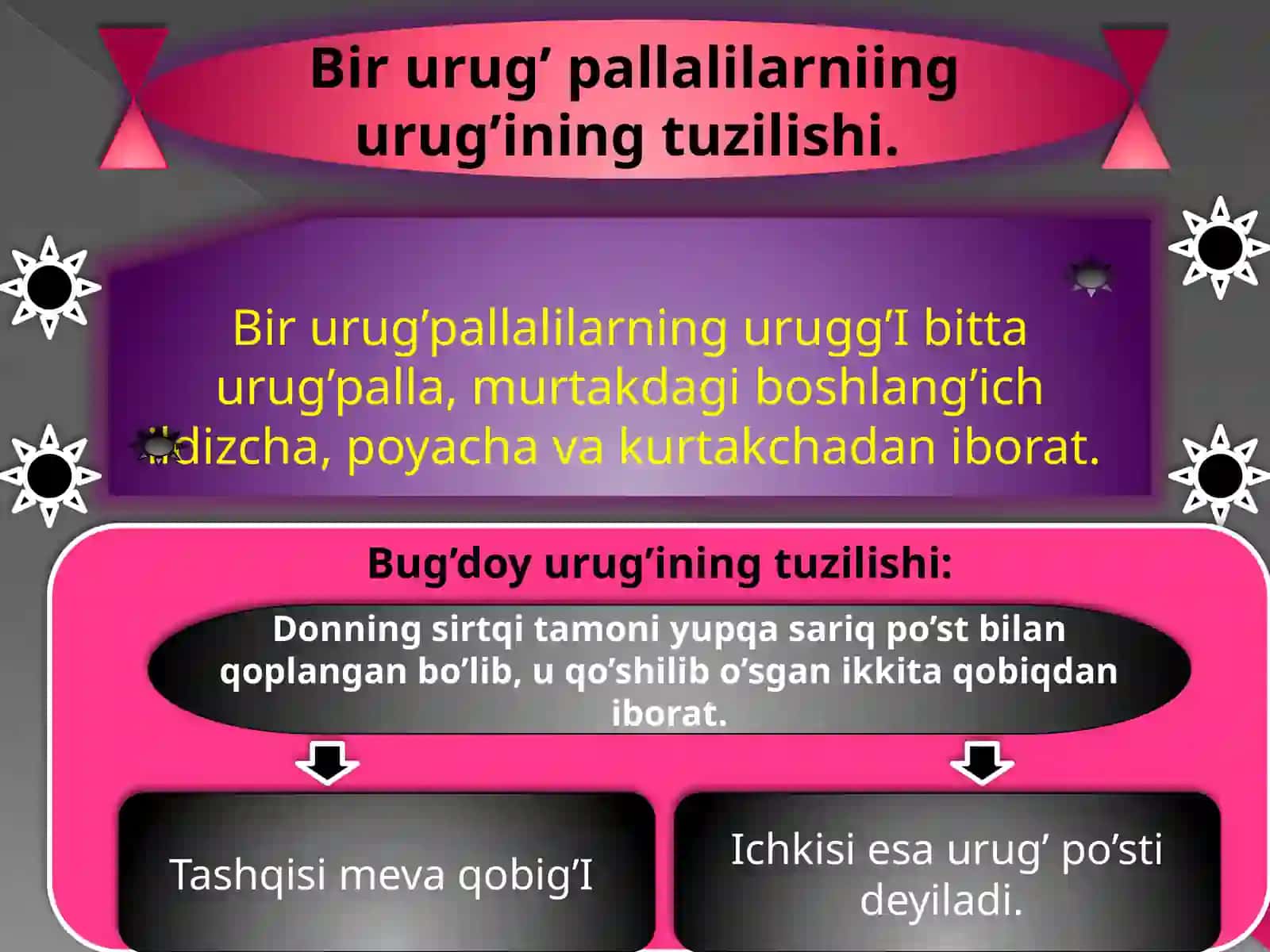 Urug' 3