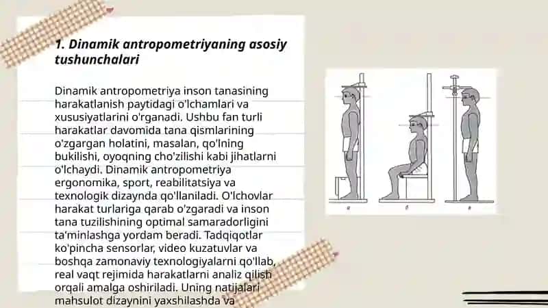 Dinamik antropometriya 3