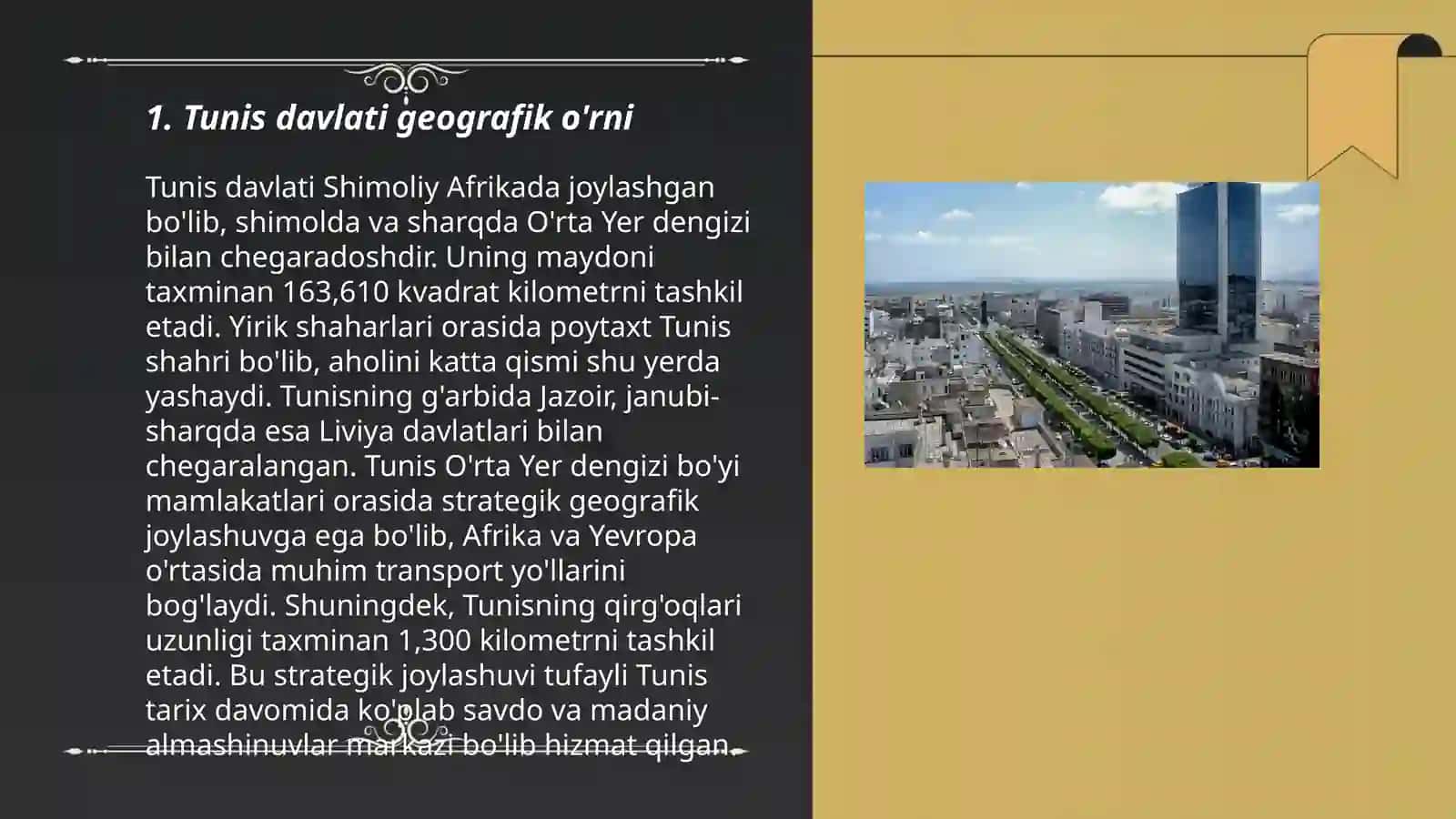 Tunis davlati 3