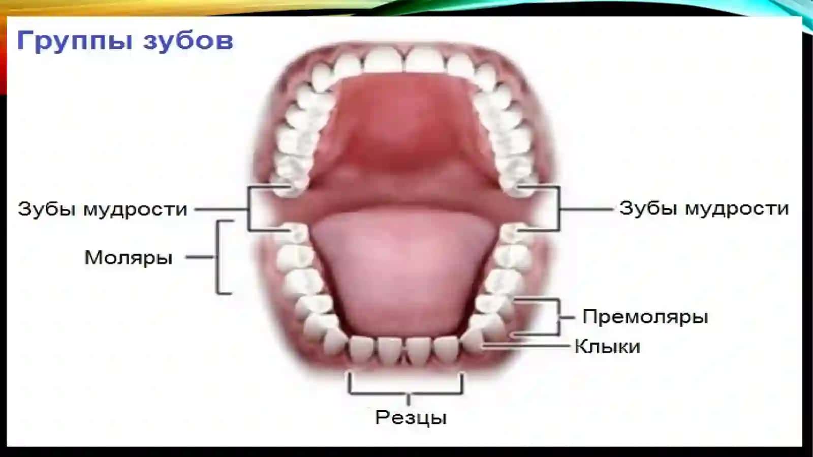 Tishlarning patalogik qimirlashi 3