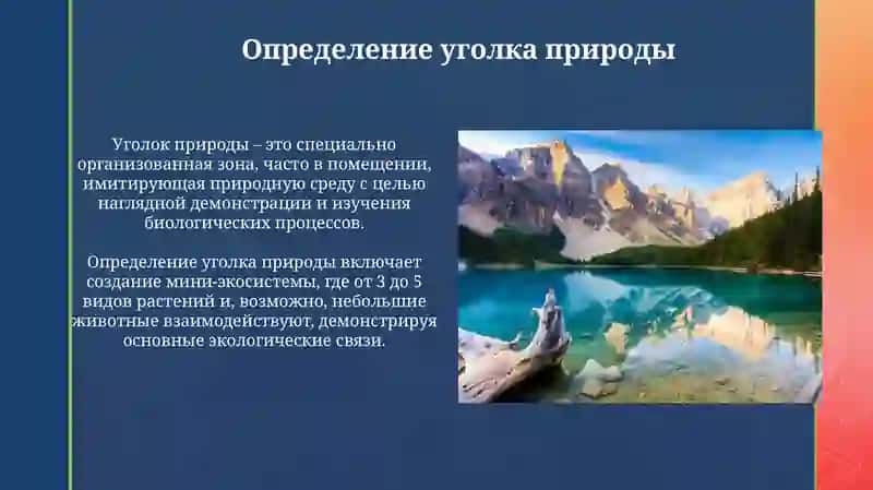 Уголок природы 3