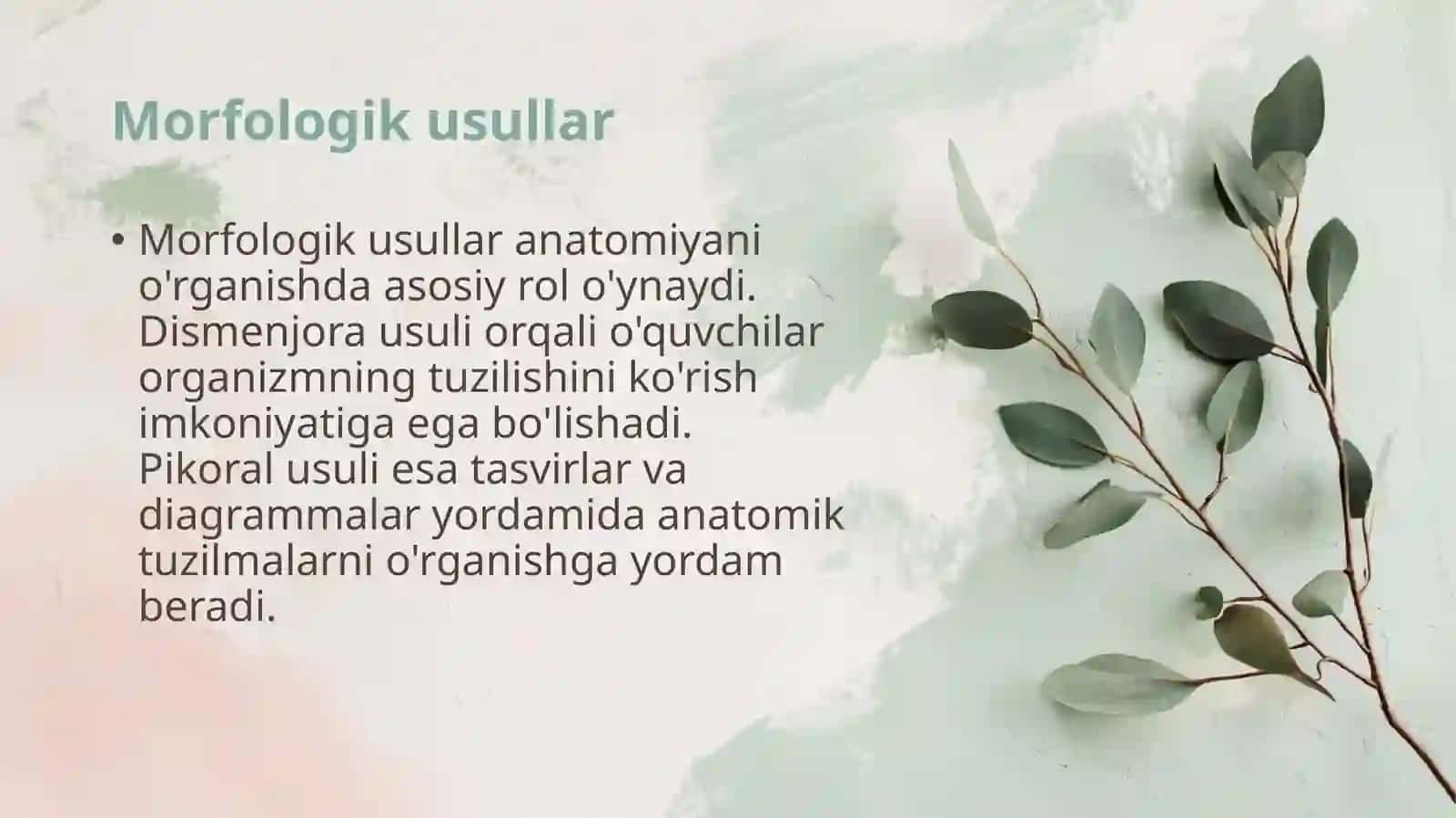 Anatomiyani o'rganish usullari 3