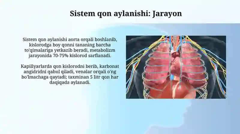 Sistem qon aylanishi 3
