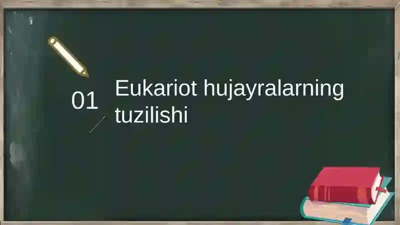 Eukariot hujayralar 3