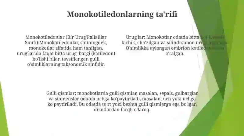Bir Urug'Pallalilar Sinfi 3