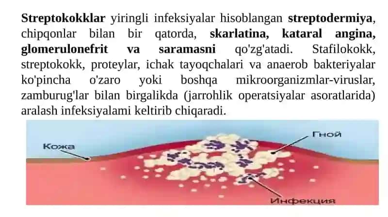 Yiringli-yallig‘lanish kasalliklarini keltirib chiqaruvchi mikroorganizmlar: stafilokokklar, streptokokklar, ko‘k yiring tayoqchasi keltirib chiqaradigan kasalliklarning laboratoriya tashhisi 3