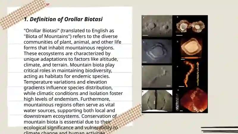 Orollar biotasi 3