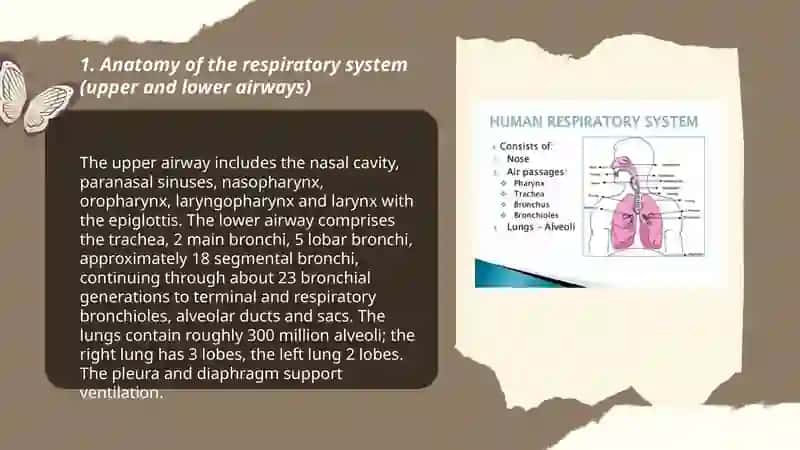 Respiratory system 3