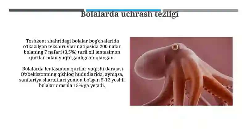 Tasma qurtlar 3
