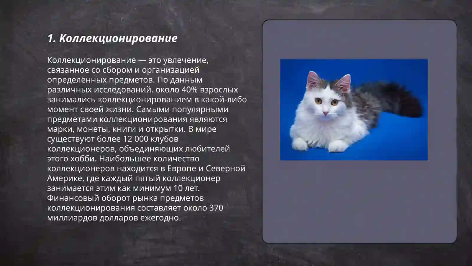 Мои увлечения и хобби 3