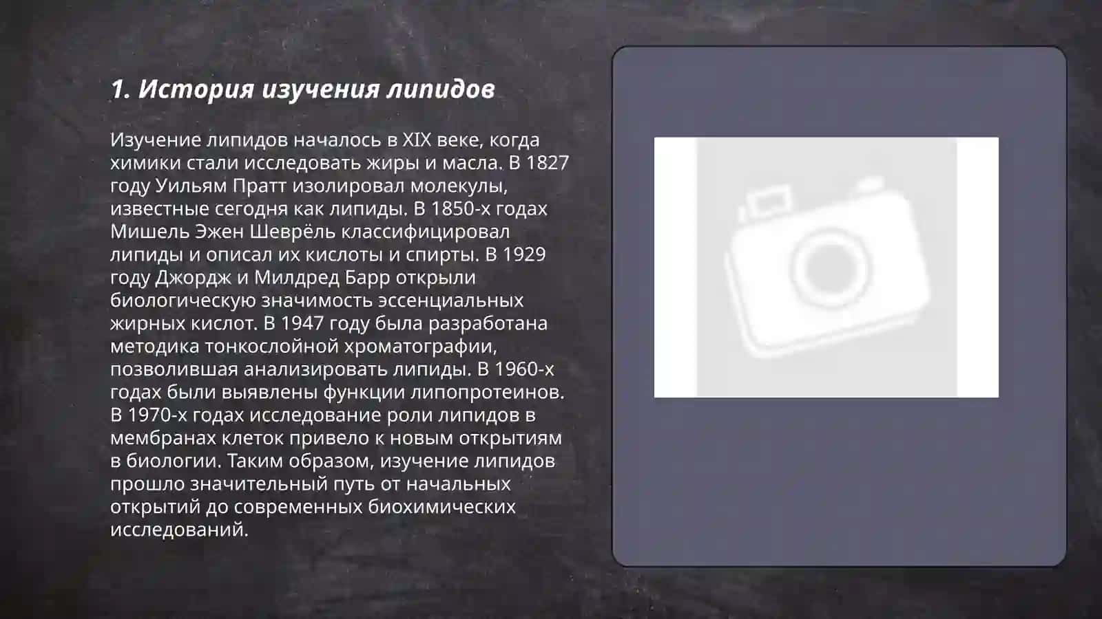 Липиды 3