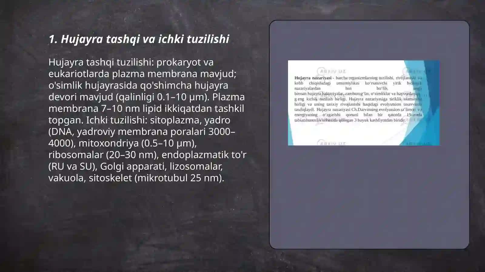 Hujayra tuzilishi 3