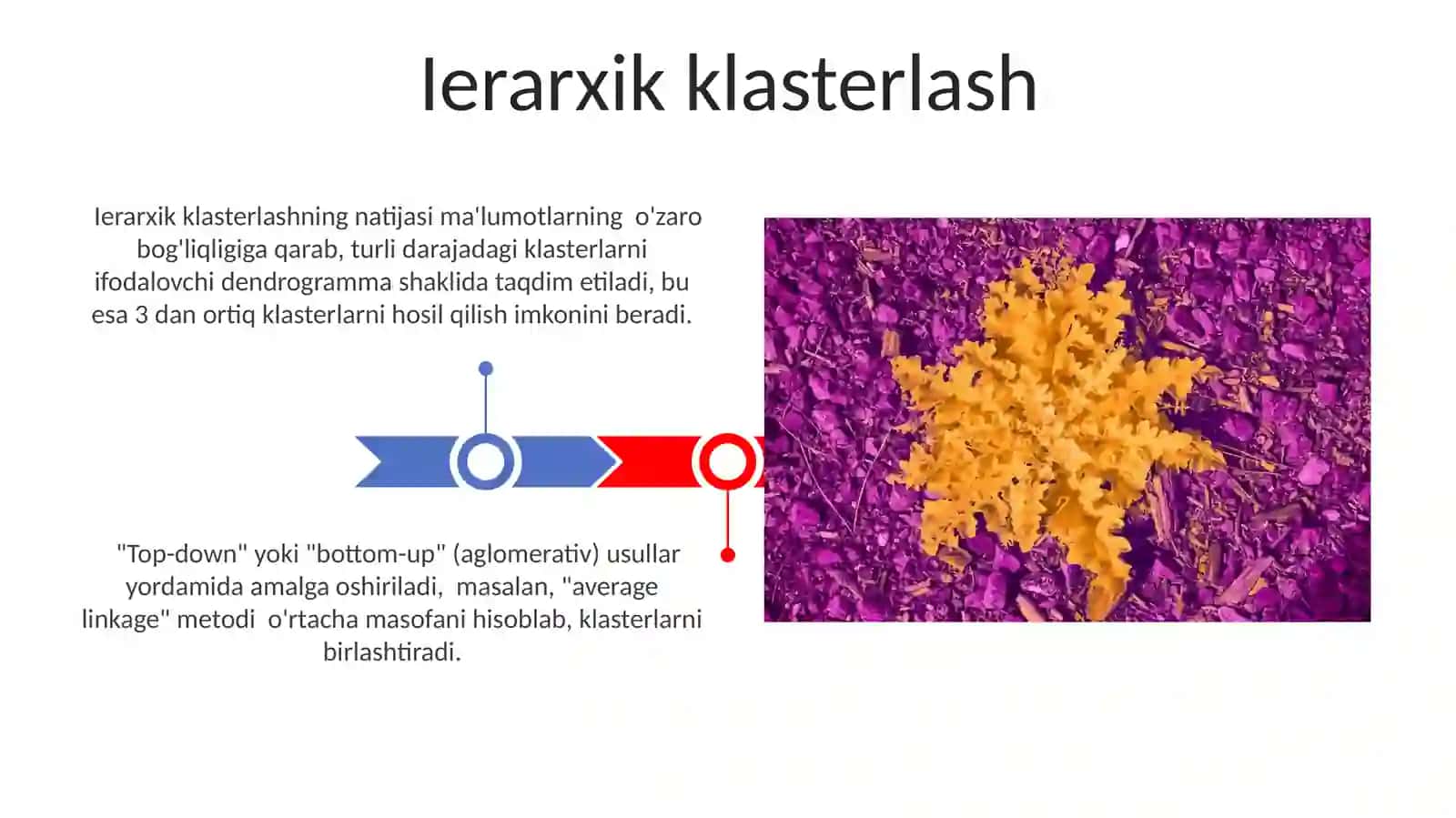 Klasterlash 3