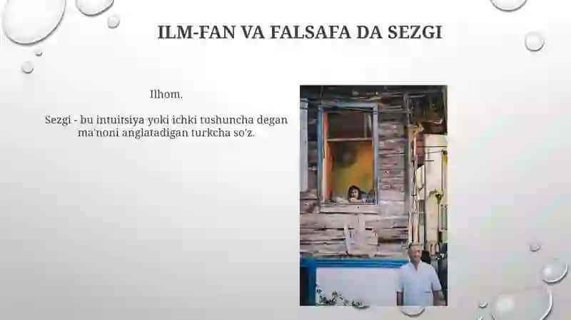 Sezgi 3