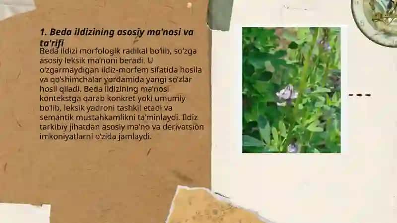 Beda ildizining tarkibi nimalardan iborat 3