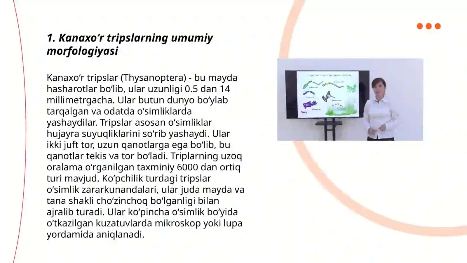 Kanaxoʻr tripslarning morfologiyasi 3