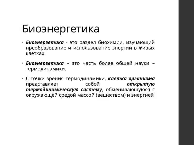 Биоэнергетика 3