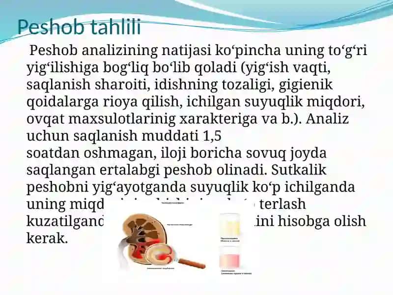 Umumi peshob 3