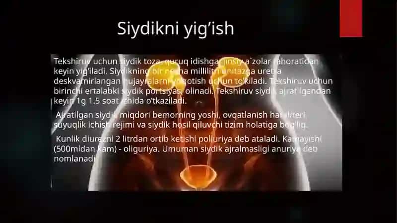 Buyrak  kasalliklarni laborator diagnostikasi. 3