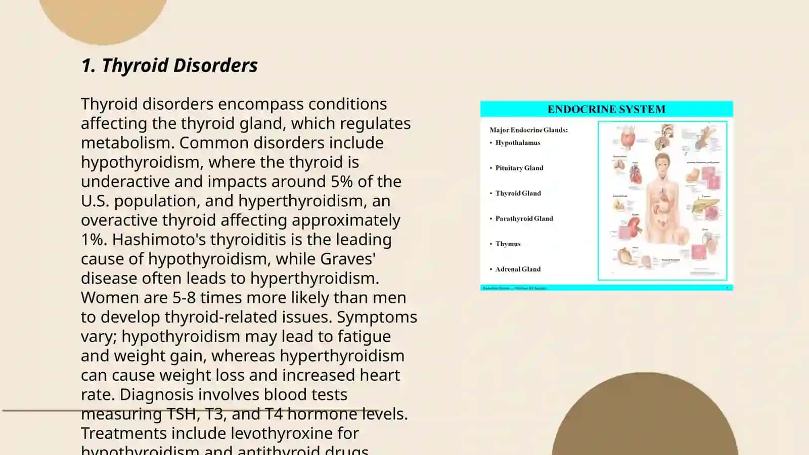 Endocrine system 3