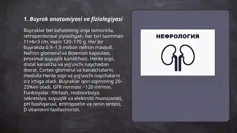 Nefrologiya 3