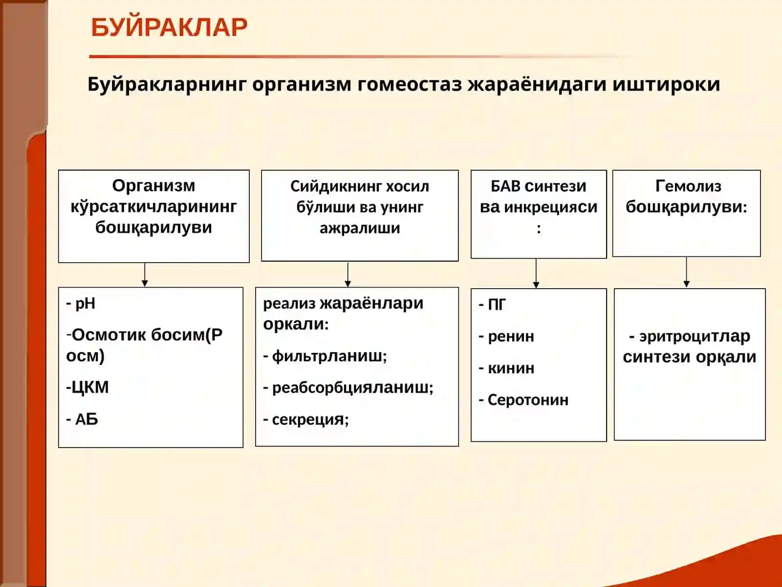 Буйраклар 3