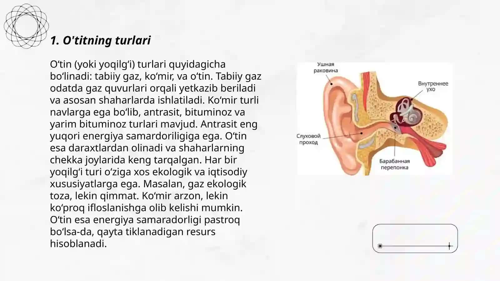 O'titning turlari 3