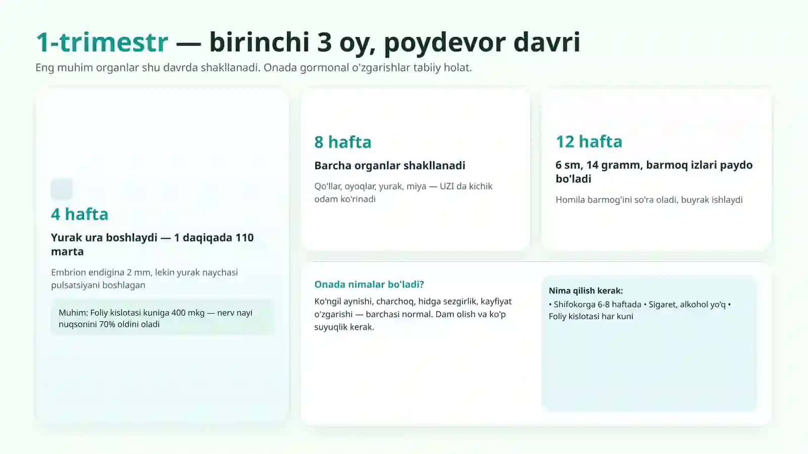 HOMILADORLIK VA BOLA PARVARISHI Xaqida Tayyor Prezentatsiya (Slayd) 3