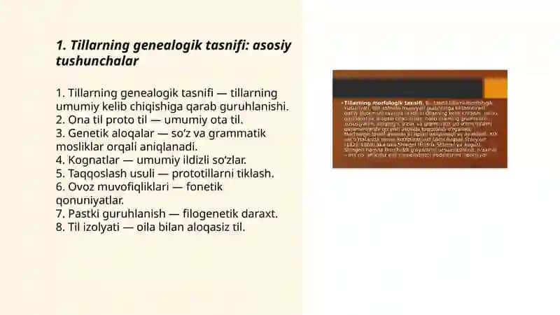 Tillarning genealogık tasnıfı 3