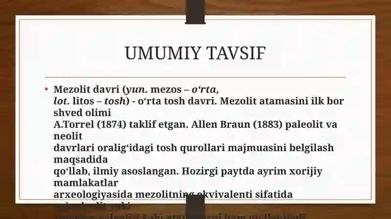 Mezolit davri manzilgohlari 3