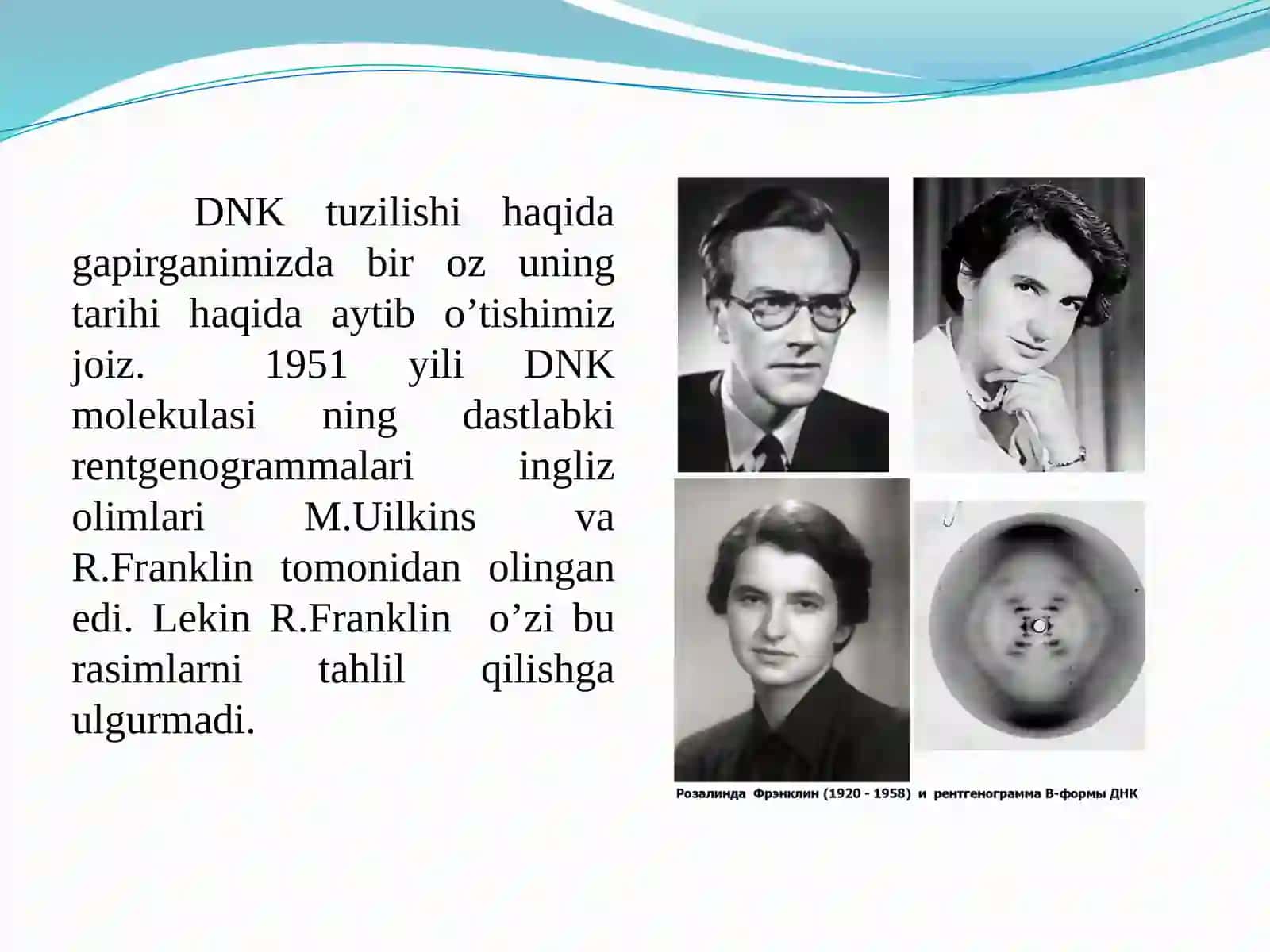 Gen muhandisligi 3