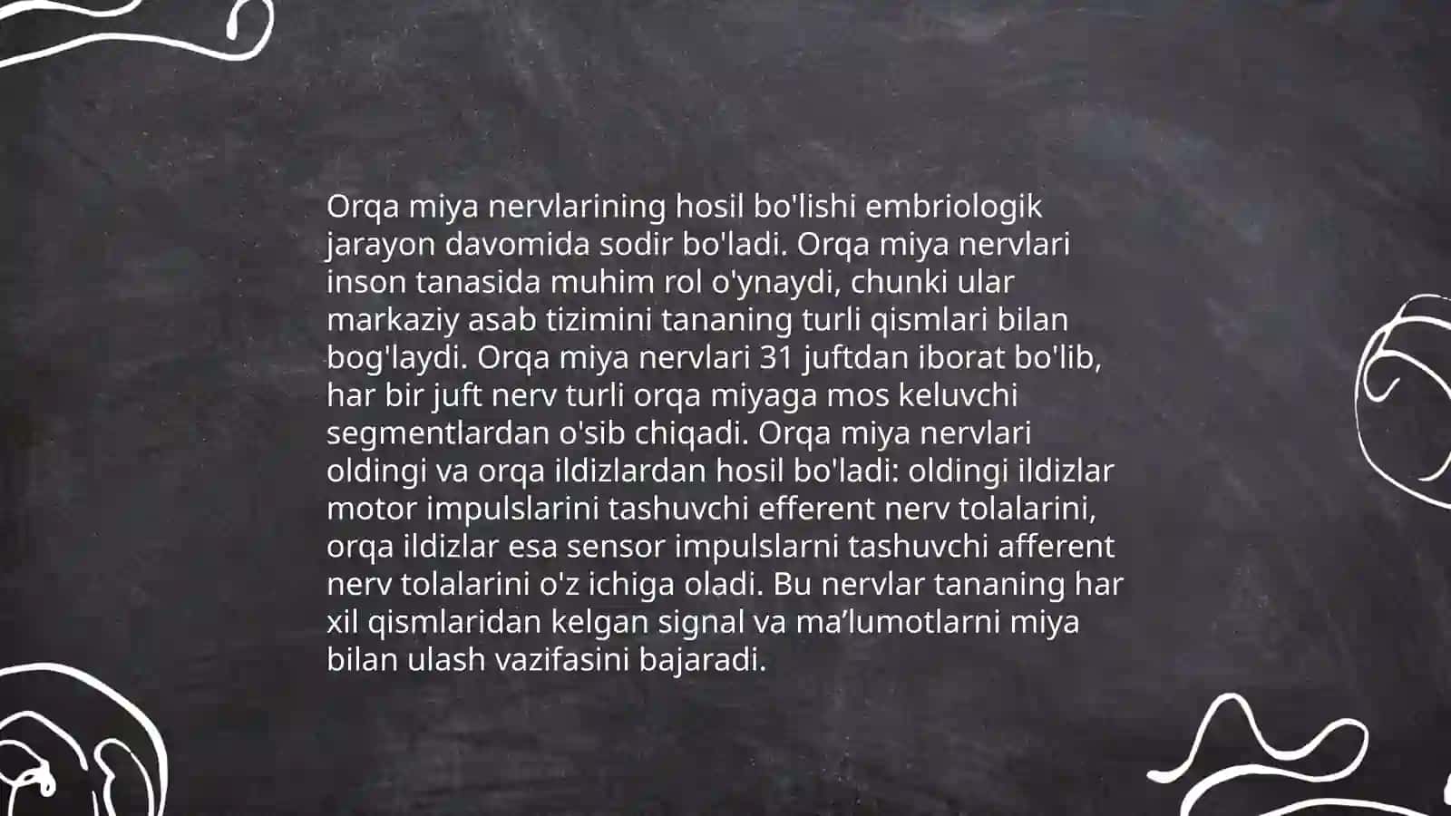 Orqa miya nervlari 3