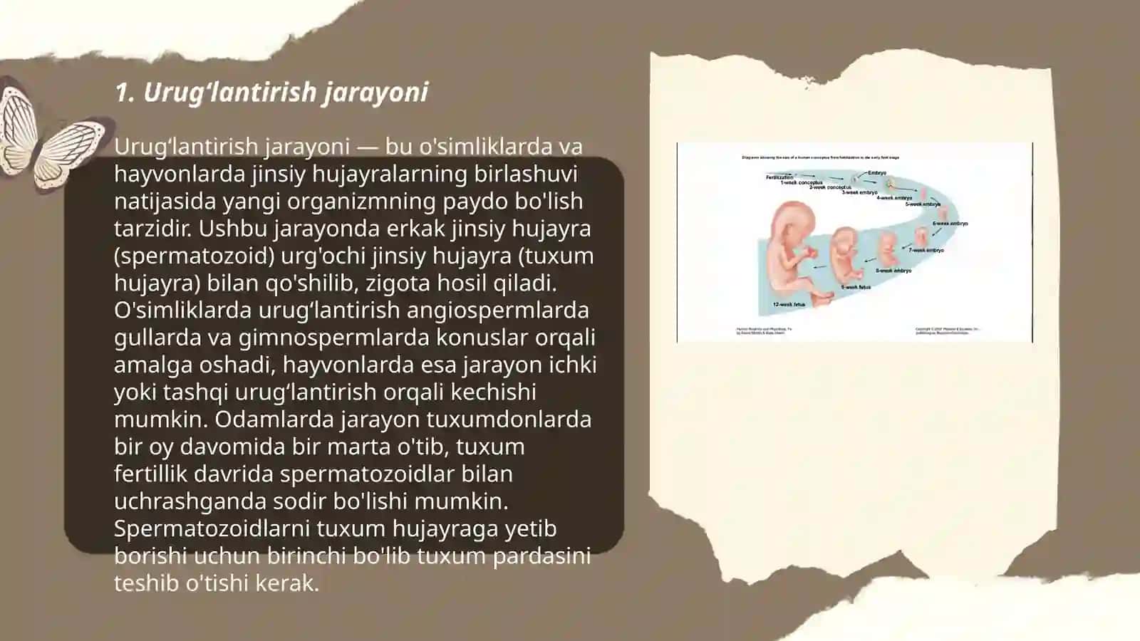 Urugʻlantirish jarayoni 3