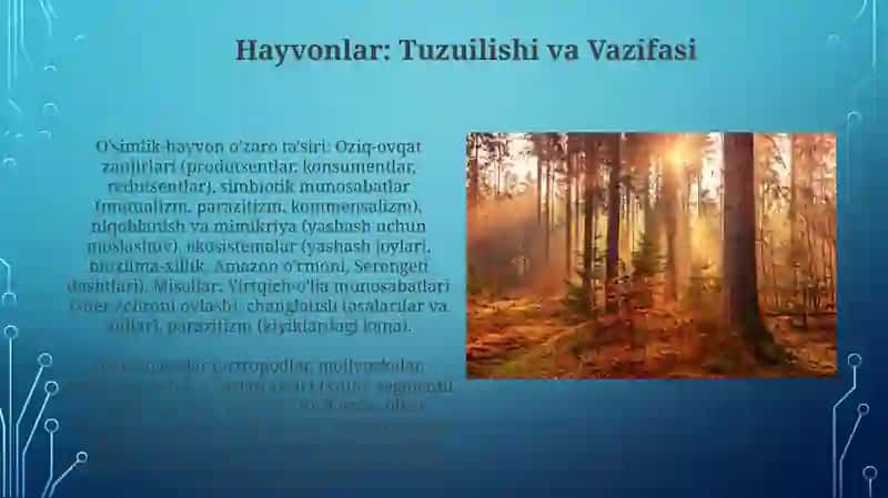 Ilk qadam 3