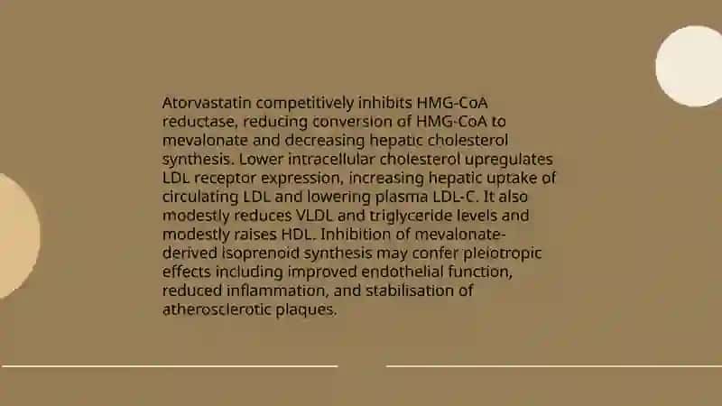 Atorvastatin 3