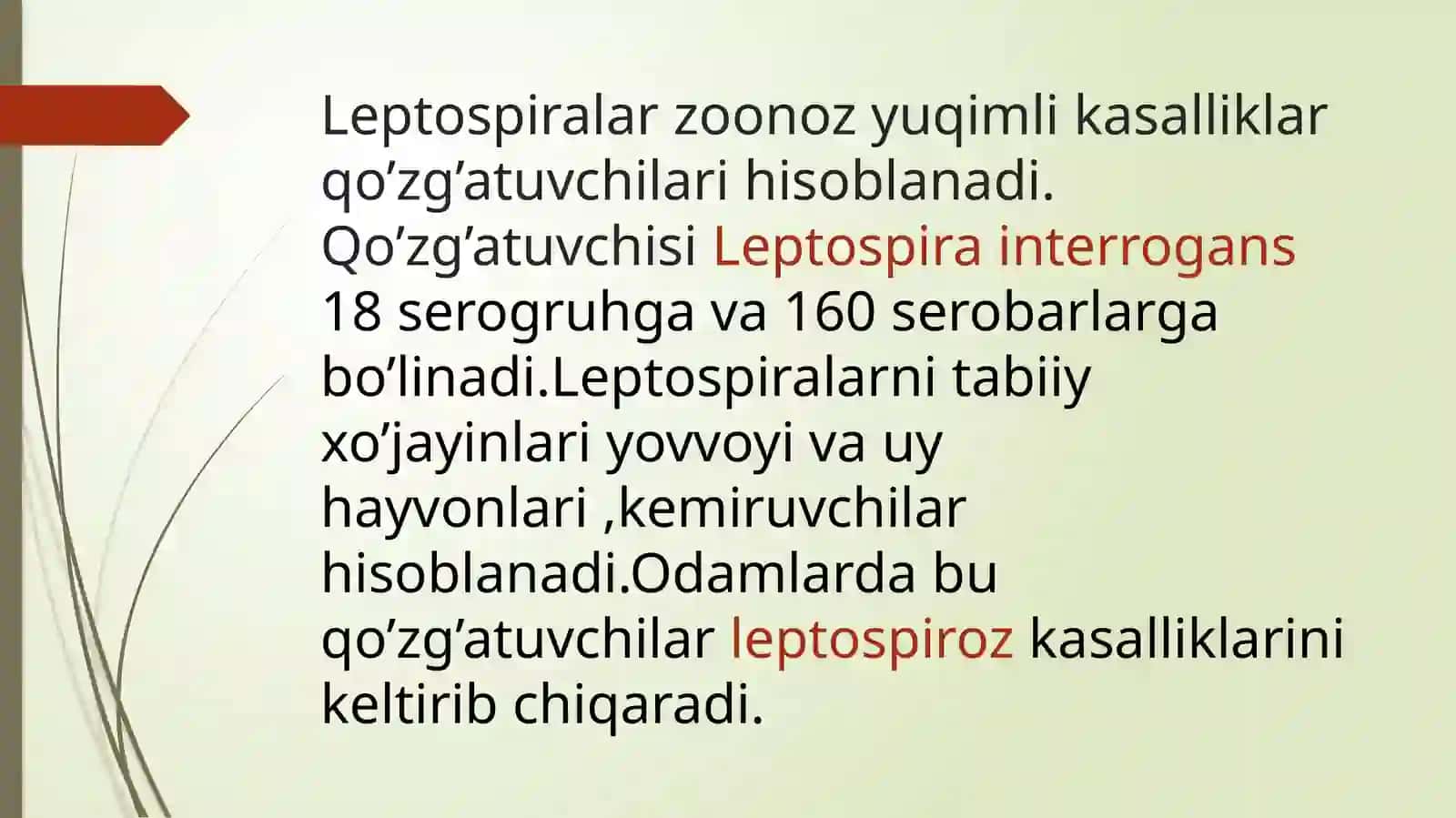 Mavzu;Leptospirozlar morfologiyasi,strukturasi,tarqalganligini keltirib chiqaruvchi kasalliklar labaratoriya diagnostikasi haqida to'liq ma'lumot 3