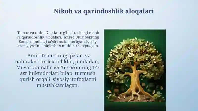 Temuriylar shajarasini tuzish 3
