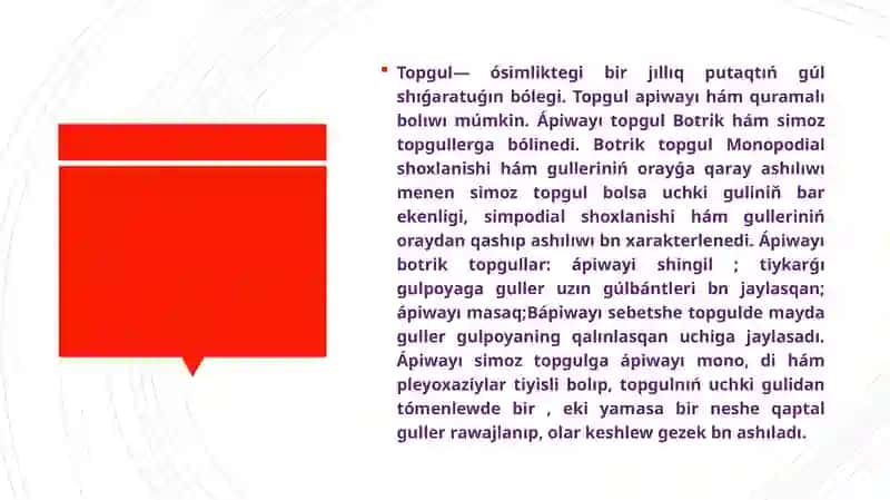 Apiwayı ham quramalı topguller 3