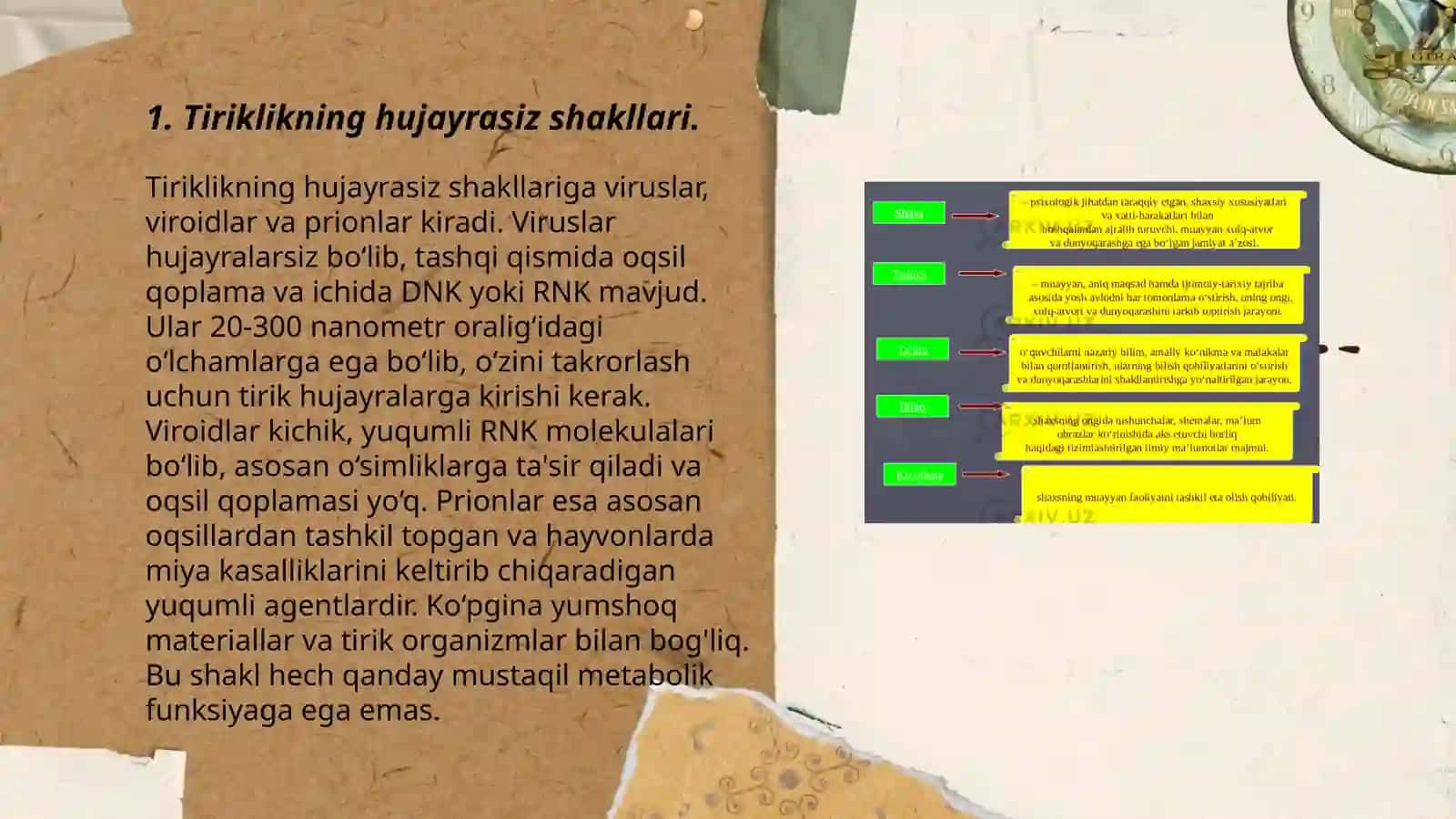 Viruslar haqida ma'lumot 3