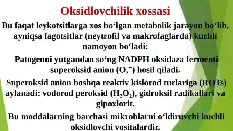 Leykotsitlar metabolizmi xususiyatlari 3