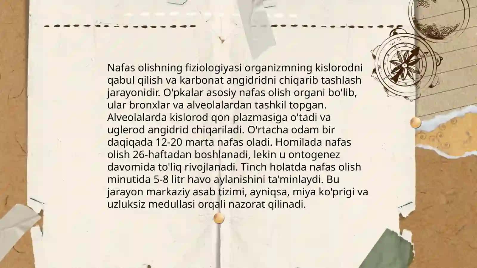 Nafas olishning ahamiyat 3