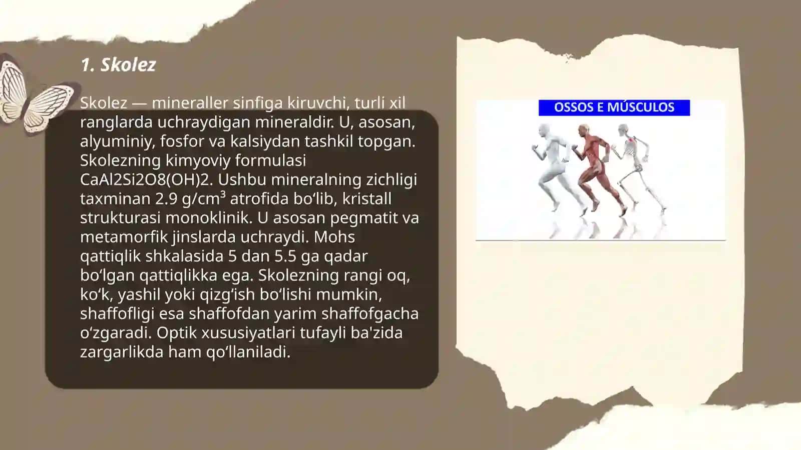 Skolez 3