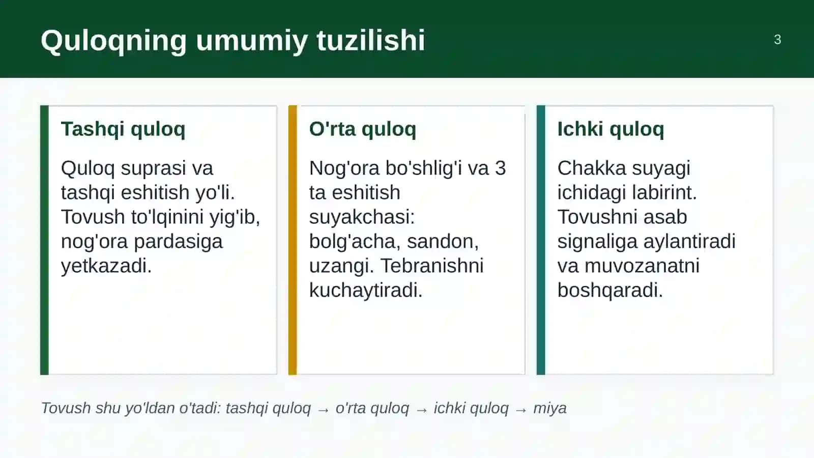 Ichki quloq anatomiyasi 3