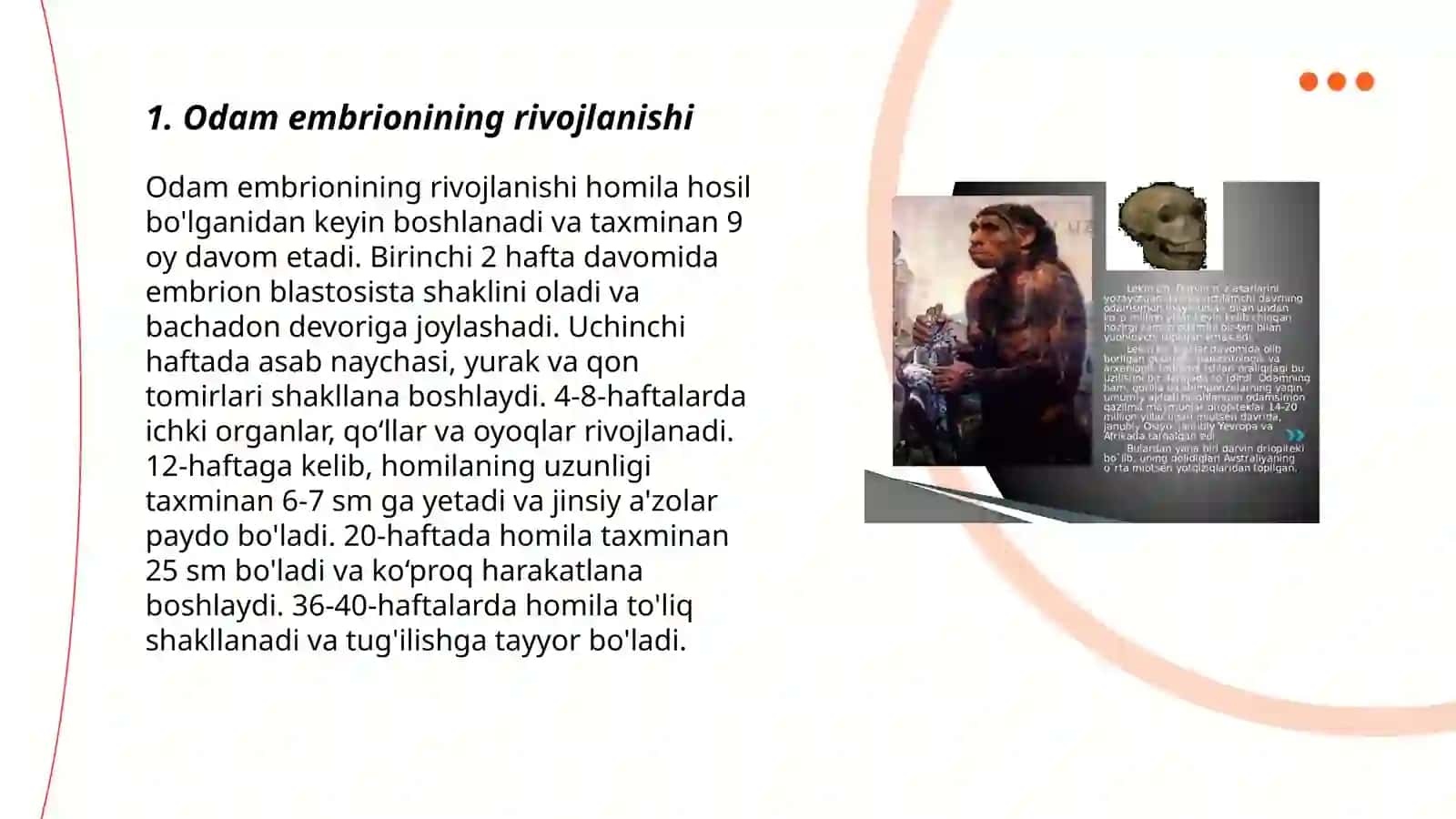 Odam embrigenezi 3