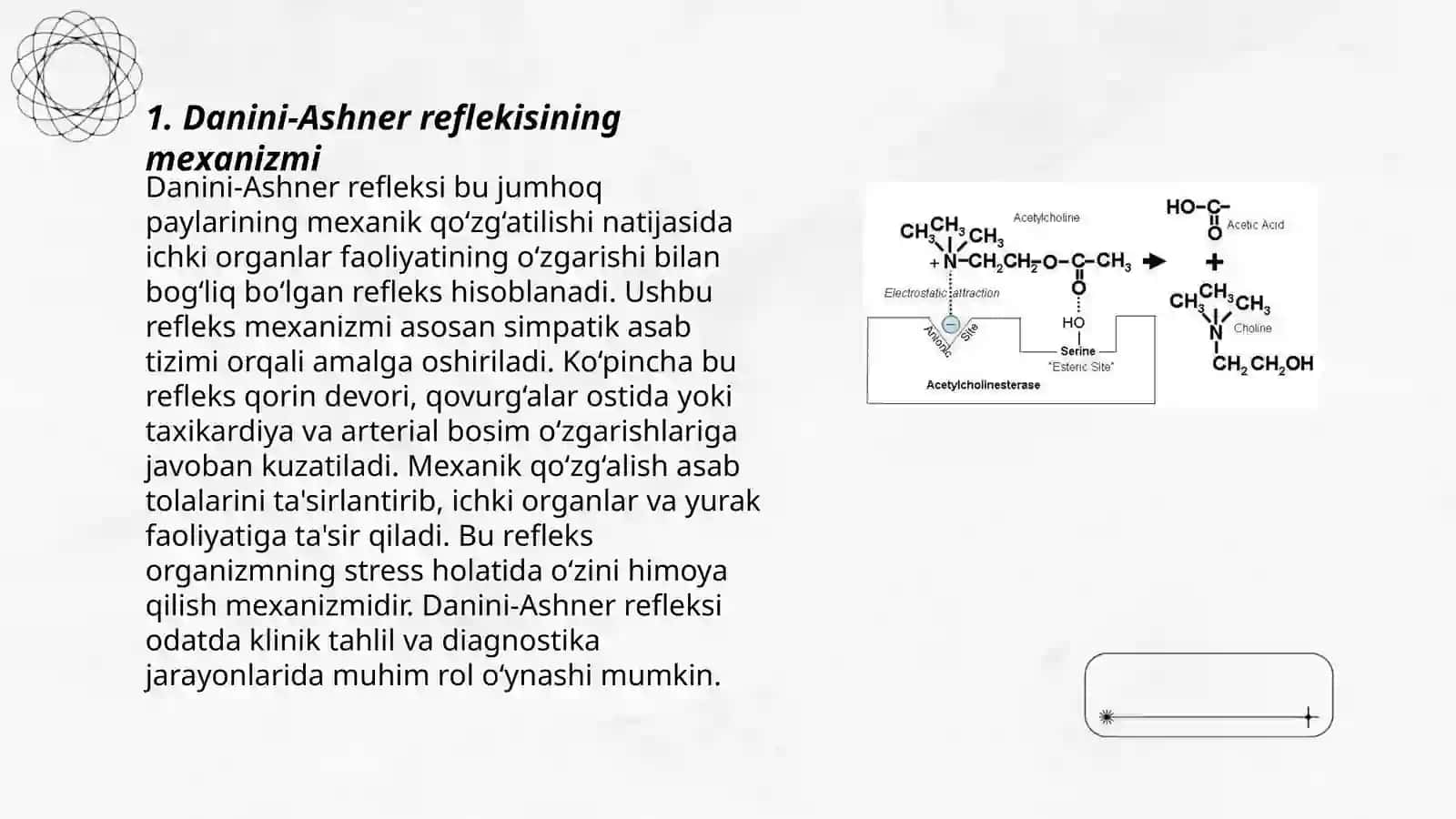 Danini-Ashner reflekisi 3
